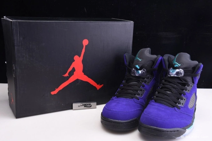 5 Jordan Retro Alternate 136027-500 Grape Air 0728
